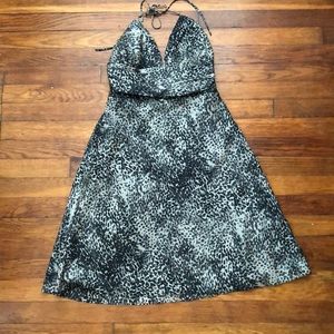 Express silk dress size 6